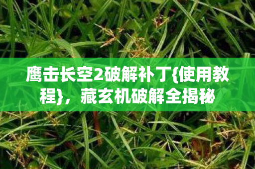 鹰击长空2破解补丁图片