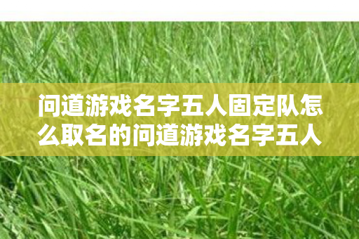 问道游戏名字五人固定队怎么取名的问道游戏名字五人固定队怎么取名,问道游戏五人固定队创意命名指南 问道游戏名字五人固定队怎么取名的问道游戏名字五人固定队怎么取名,问道游戏五人固定队创意命名指南