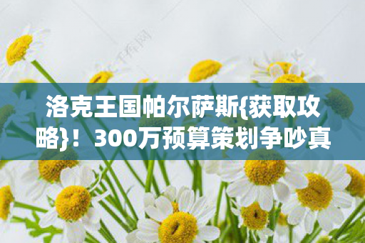 300万预算策划争吵真相图片
