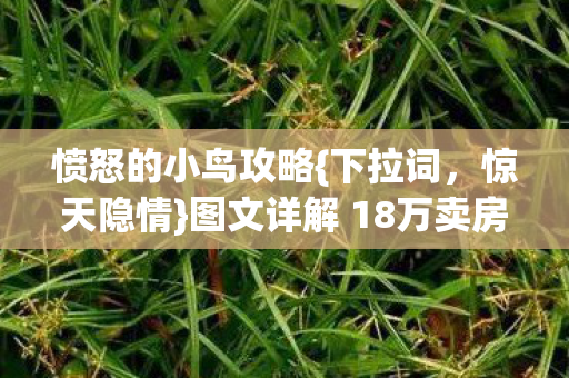 图文详解 18万卖房钱背后图片