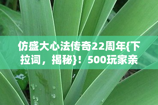 仿盛大心法传奇22周年{下拉词,揭秘}!500玩家亲历时间裂缝 仿盛大心法传奇22周年{下拉词,揭秘}!500玩家亲历时间裂缝
