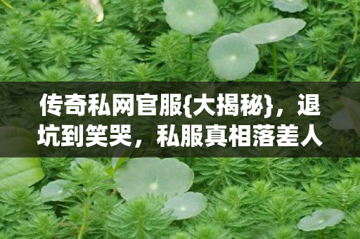 传奇私网官服{大揭秘},退坑到笑哭,私服真相落差人生 传奇私网官服{大揭秘},退坑到笑哭,私服真相落差人生