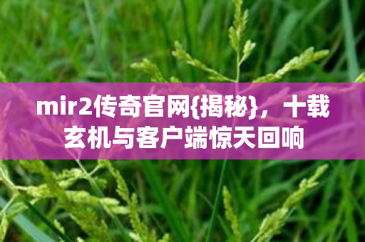 mir2传奇官网{揭秘},十载玄机与客户端惊天回响 mir2传奇官网{揭秘},十载玄机与客户端惊天回响