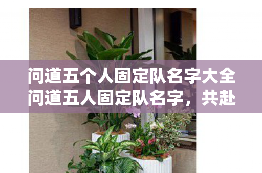 问道五个人固定队名字大全问道五人固定队名字,共赴仙途的奇妙之旅,共赴仙途,问道五人固定队名字大全 问道五个人固定队名字大全问道五人固定队名字,共赴仙途的奇妙之旅,共赴仙途,问道五人固定队名字大全