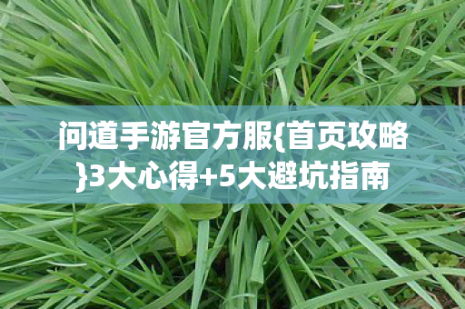 问道手游官方服图片