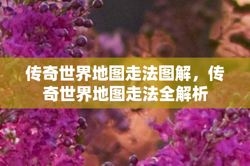 传奇世界地图走法全解析图片