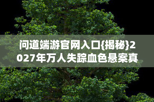 2027年万人失踪血色悬案真相图片