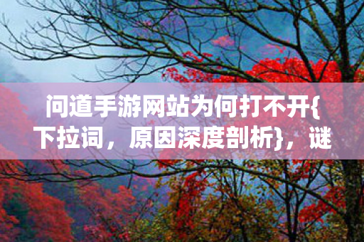 问道手游网站为何打不开图片