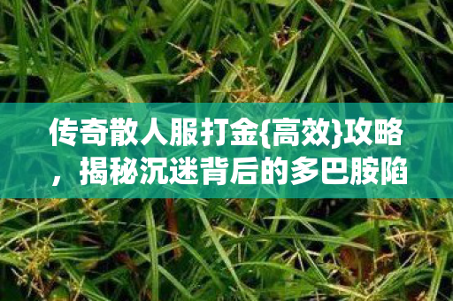 传奇散人服打金{高效}攻略,揭秘沉迷背后的多巴胺陷阱 传奇散人服打金{高效}攻略,揭秘沉迷背后的多巴胺陷阱