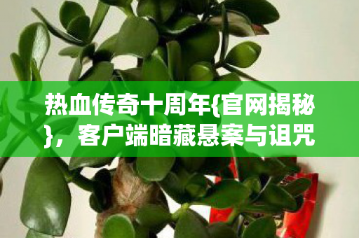 热血传奇十周年{官网揭秘},客户端暗藏悬案与诅咒线索 热血传奇十周年{官网揭秘},客户端暗藏悬案与诅咒线索