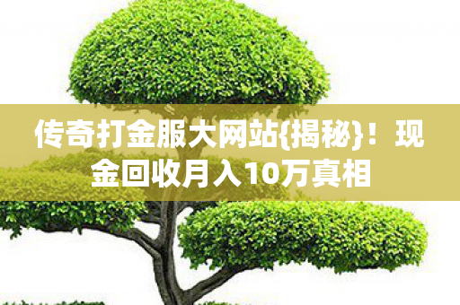 传奇打金服大网站{揭秘}！现金回收月入10万真相