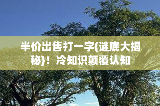 半价出售打一字图片