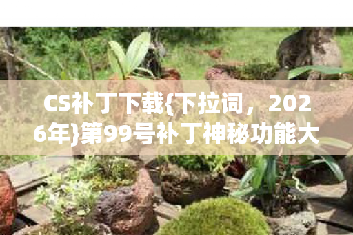 第99号补丁神秘功能大揭秘图片