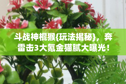 奔雷击3大氪金猫腻大曝光图片