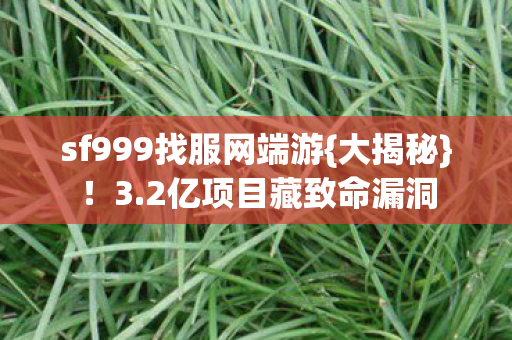 sf999找服网端游图片