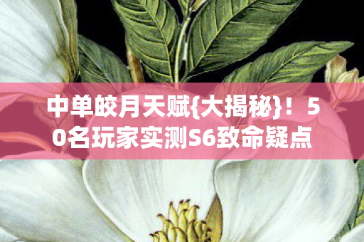50名玩家实测S6致命疑点图片