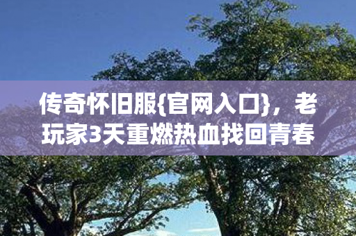 老玩家3天重燃热血找回青春图片