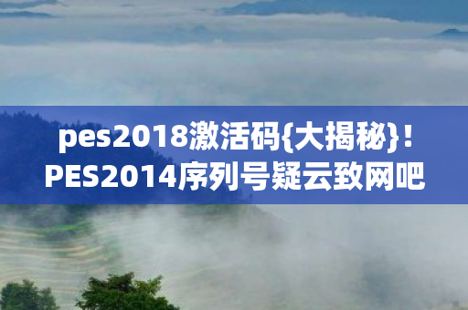 PES2014序列号疑云致网吧破防图片