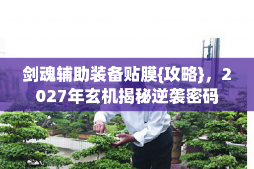2027年玄机揭秘逆袭密码图片