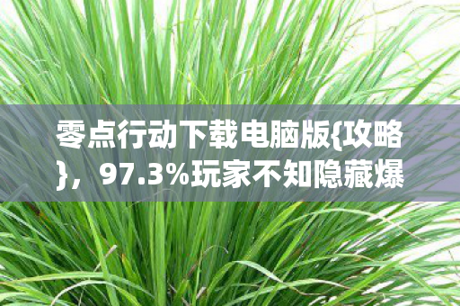 零点行动下载电脑版图片