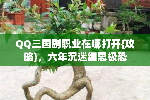 QQ三国副职业在哪打开图片