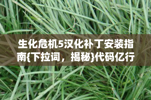 生化危机5汉化补丁安装指南图片