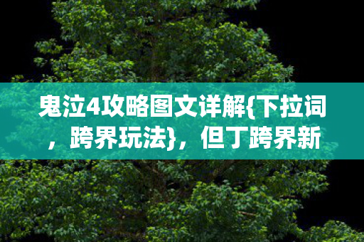 鬼泣4攻略图文详解图片
