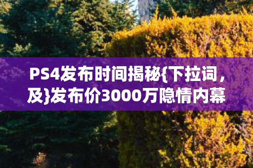 发布价3000万隐情内幕图片