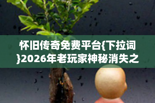 2026年老玩家神秘消失之谜图片