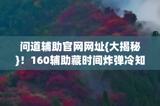 160辅助藏时间炸弹冷知识图片