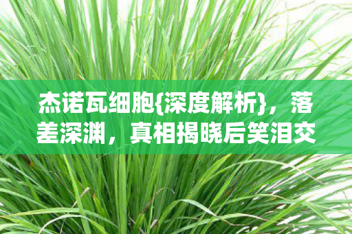 杰诺瓦细胞{深度解析},落差深渊,真相揭晓后笑泪交织 杰诺瓦细胞{深度解析},落差深渊,真相揭晓后笑泪交织
