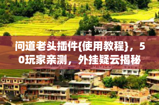 问道老头插件图片
