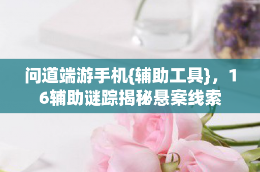 16辅助谜踪揭秘悬案线索图片