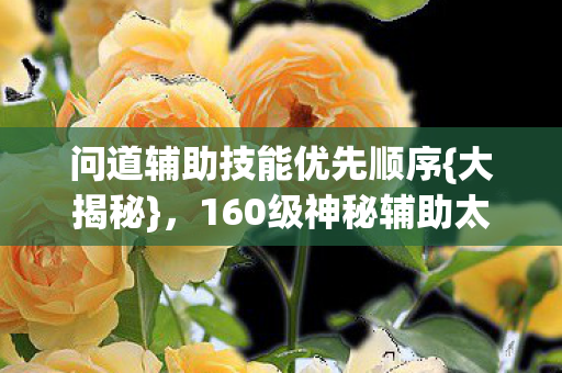 160级神秘辅助太逆天图片
