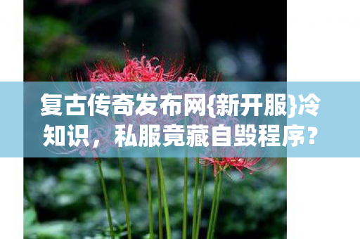 私服竟藏自毁程序图片