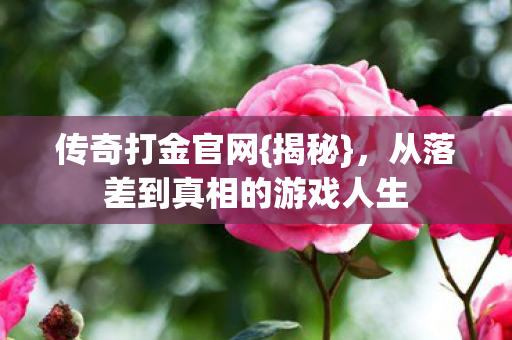 从落差到真相的游戏人生图片