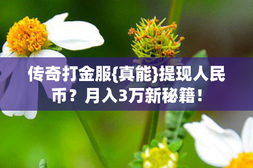 月入3万新秘籍图片