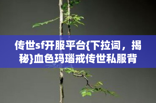 血色玛瑙戒传世私服背后真相图片