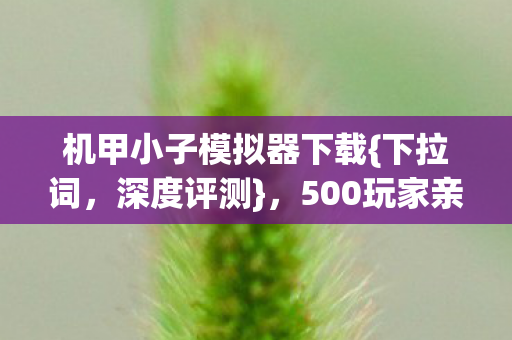 500玩家亲测真相揭秘图片