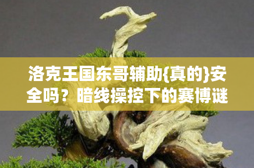 洛克王国东哥辅助{真的}安全吗?暗线操控下的赛博谜团 洛克王国东哥辅助{真的}安全吗?暗线操控下的赛博谜团