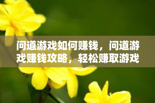 问道游戏如何赚钱，问道游戏赚钱攻略，轻松赚取游戏币