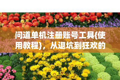 问道单机注册账号工具图片