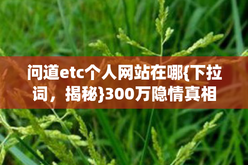 问道etc个人网站在哪图片