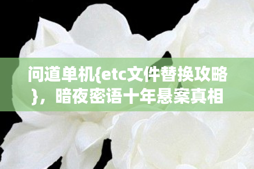 暗夜密语十年悬案真相揭秘图片