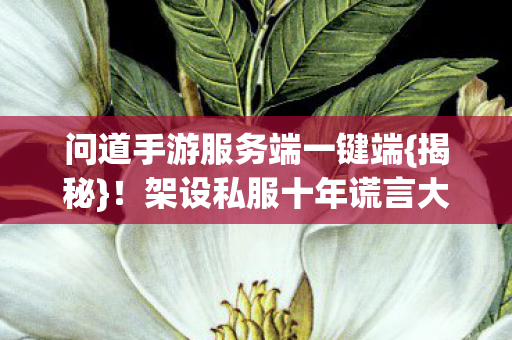 架设私服十年谎言大曝光图片