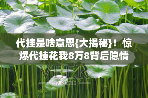 代挂是啥意思{大揭秘}!惊爆代挂花我8万8背后隐情 代挂是啥意思{大揭秘}!惊爆代挂花我8万8背后隐情