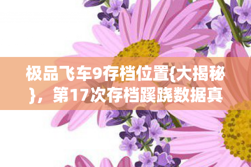 极品飞车9存档位置{大揭秘}，第17次存档蹊跷数据真相