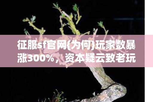 征服sf官网{为何}玩家数暴涨300%,资本疑云致老玩家心寒? 征服sf官网{为何}玩家数暴涨300%,资本疑云致老玩家心寒?