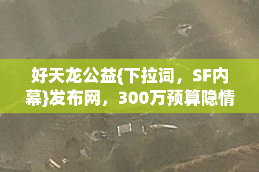 300万预算隐情大揭秘图片