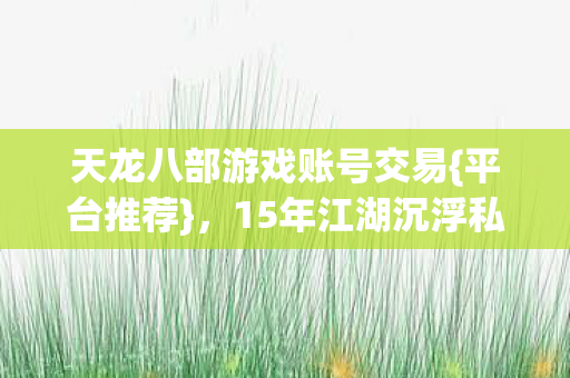 15年江湖沉浮私服账号之变图片